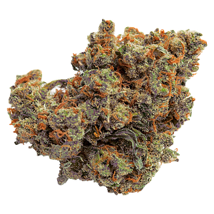 Qwest - Lazer Jet Craft Whole Flower