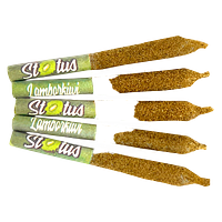 Status - Lamborkiwi Liquid Diamond Infused Kief Coated Pre-Roll