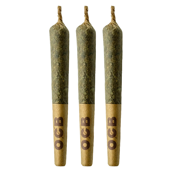 Coterie - Grape Gotti #12 Pre-Roll