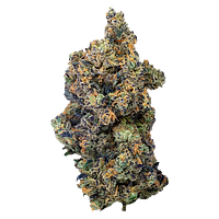 PURPLEFARM - Lime Rntz