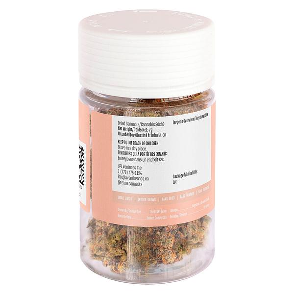 Tenzo - Espresso Gelato image 3