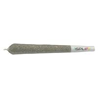 1Spliff - Biscotti Pre-roll
