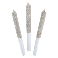 DEALR Infused - Raspberry Lime Paloma Infused Pre-Roll