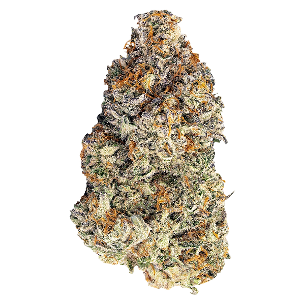 BLK MKT - Britscotti