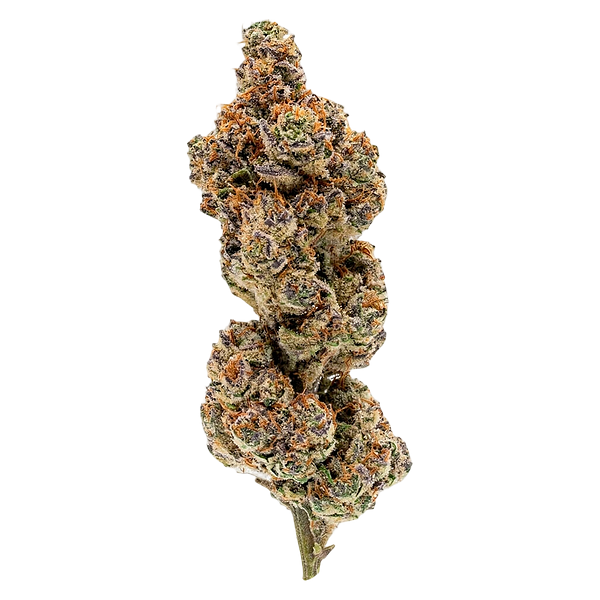 Overtime - Punch Out