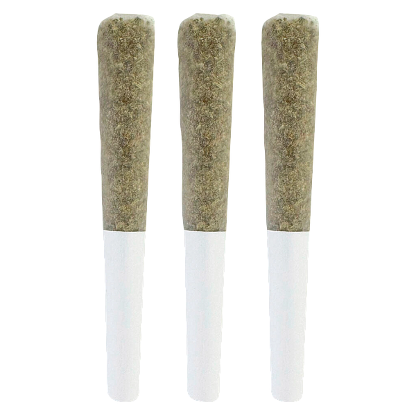 The Goo! - Goobies! Live Rosin Infused Pre-Roll