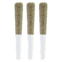 The Goo! - Goobies! Live Rosin Infused Pre-Roll