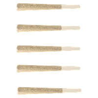 Tobagrown - Toba's Sativa Pre-Rolls