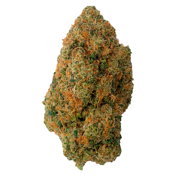 Conspiracy - Reptilian Reserve