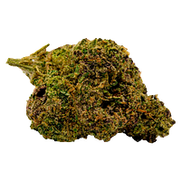 Unit 15 - Black Cherry Soda