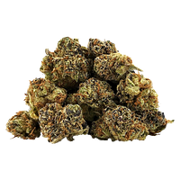 BC Smalls - Neon Cowgirl Smalls