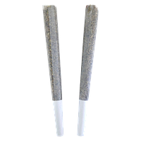 BC Doobies - Afternoon Delight Pre Roll