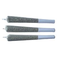 Frost Cannabis - Rotating Strain Pre Roll