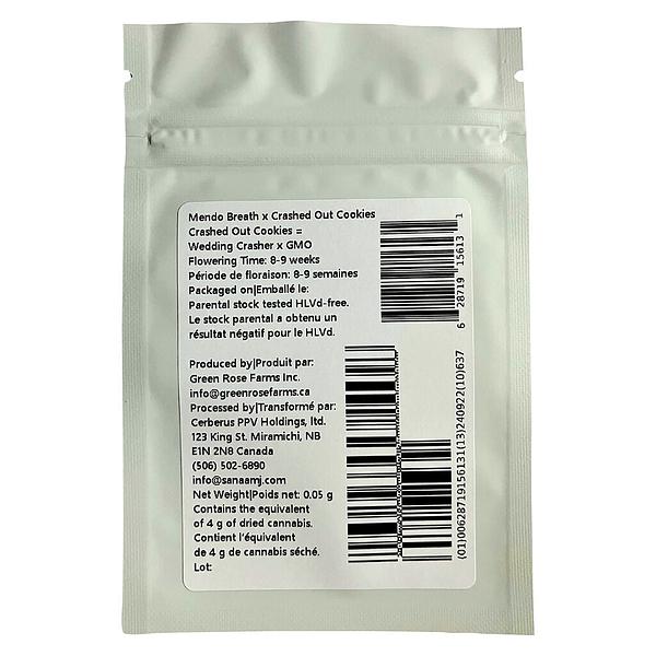 Green Rose Seeds - Crasher Breath image 4