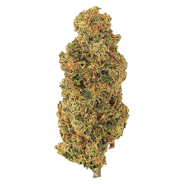 Mendo Select - Roadkill Skunk image 1