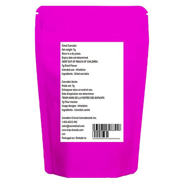 The Loud Plug - Purple Rain image 3