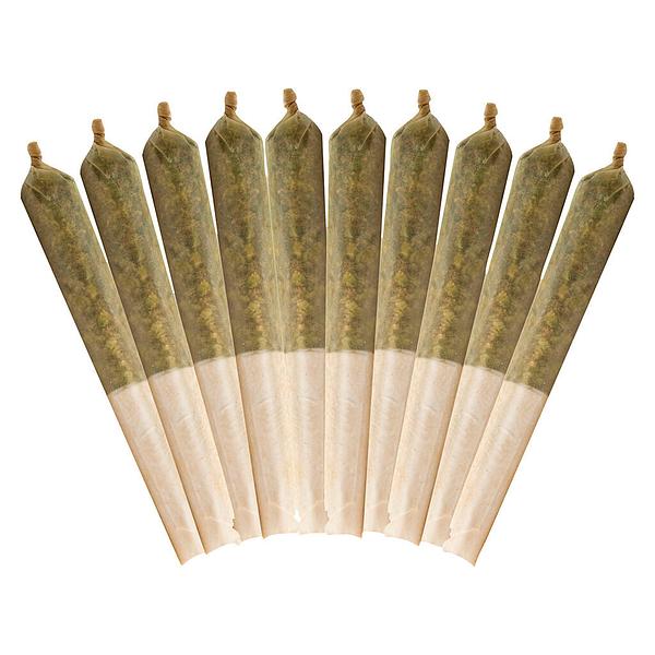 Buddy Blooms - Ethos Glue Pre-Roll image 1