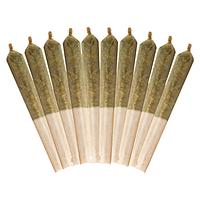 Buddy Blooms - Ethos Glue Pre-Roll