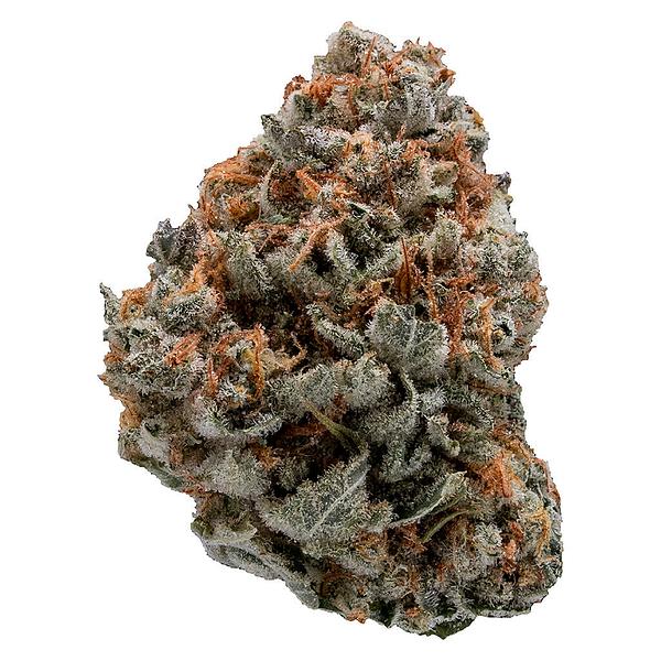 Top Leaf - Black Domina image 1