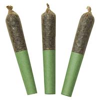 Dab Bods - Tropical Burst 60's+ Dbl Infused Pre Roll