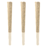 Ivory - Platinum Glow Pre-Roll