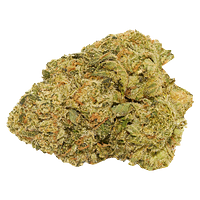 Good Supply - Facade