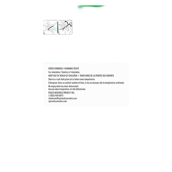 Spinach - Stix Space Cake Pre-Roll