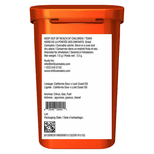 Back Forty - Backpackers Pre-Roll - Lemon Diesel