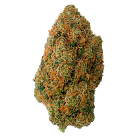 Tobagrown - Toba's Indica