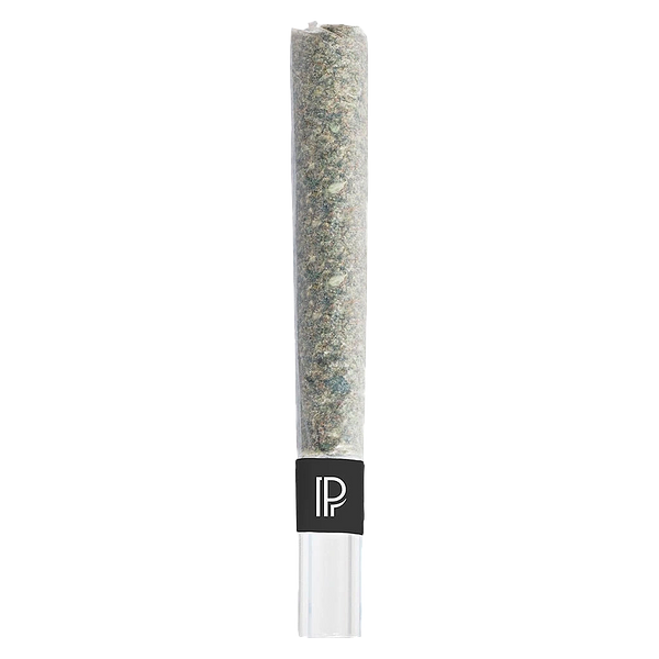 Pistol and Paris - Lindsay Og Bubble Hash Infused Pre Roll