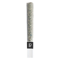 Pistol and Paris - Lindsay Og Bubble Hash Infused Pre Roll