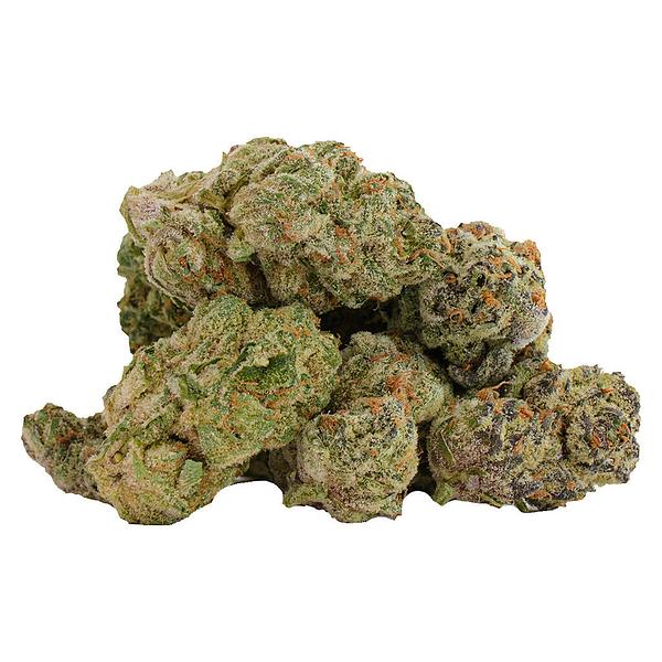 Castle Rock Farms - Glitterbomb X Rainbow Cheddar #5 image 1