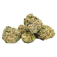 Highly Dutch - Organic Minis