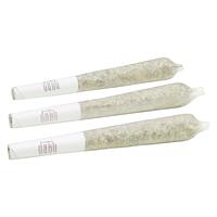Daku - Gelato #4 Pre-Rolls