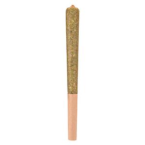 Woody Nelson - Rocketeer Infused Pre-Roll