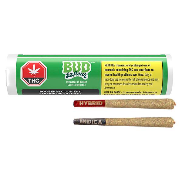Bud Lafleur - Booberry Cookies & Strawberry Banana Sampler Pack Pre-Roll image 4
