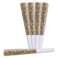 BLAST - Nova Live Rosin Infused Pre-Roll