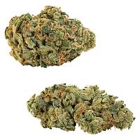 Big Bag O' Buds - Comboz: Ultra Sour + Tropical Cookies