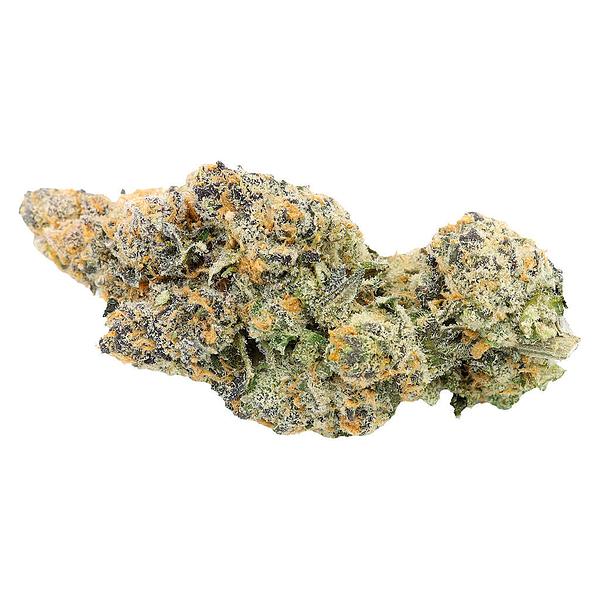 Sitka Legends - White Hot Guava image 1