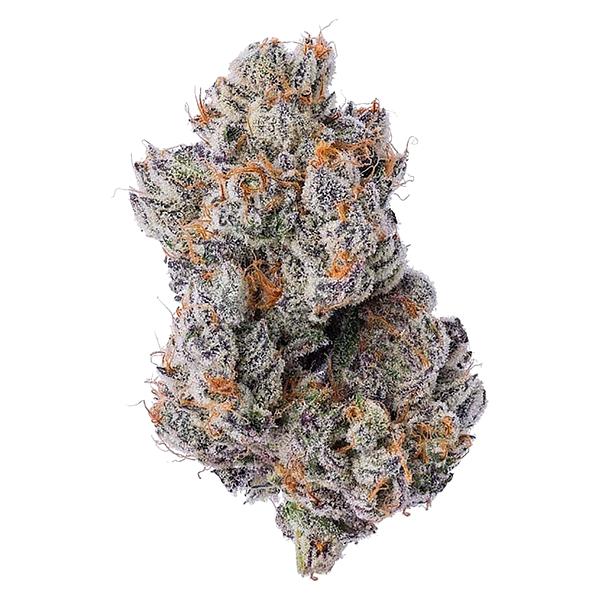 Coterie - Purple Zushi image 1