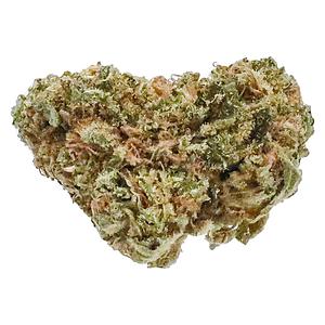 Station House - Blue Dream