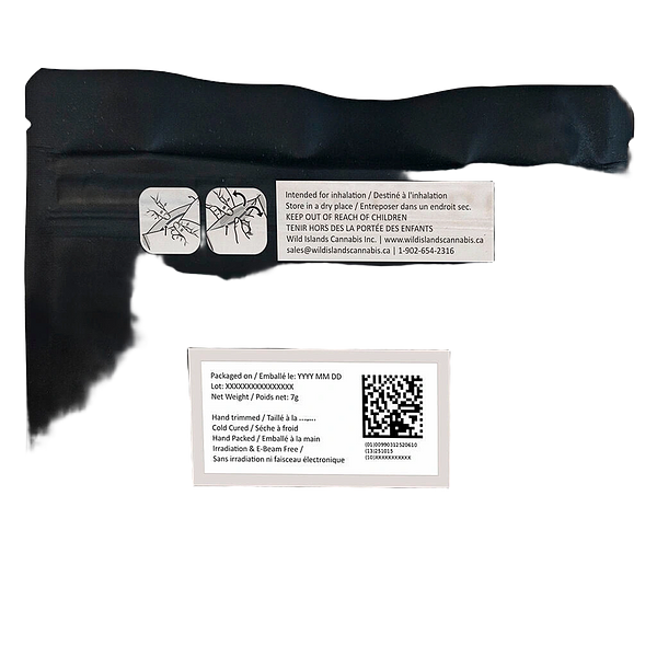 Space Bros - Tropic Fuel