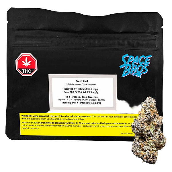 Space Bros - Tropic Fuel