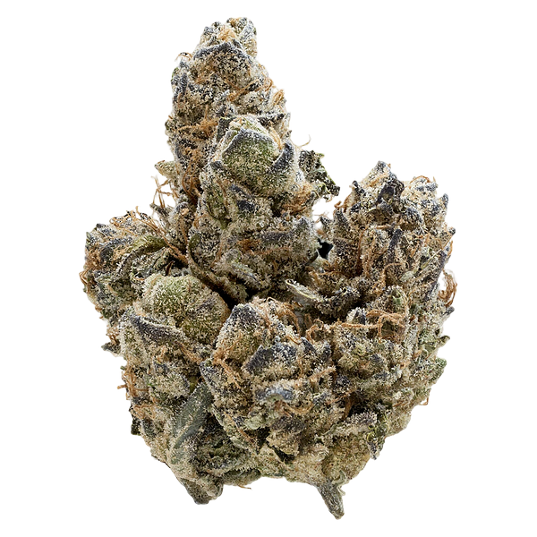 Nugz - Florida Oranges