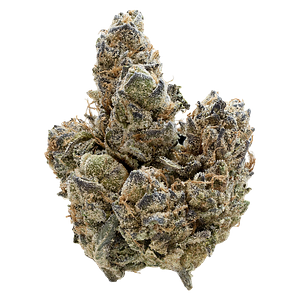 Nugz - Florida Oranges