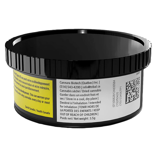 Tribal - Gran Turismo