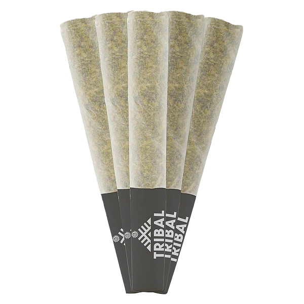 Tribal - Gran Turismo Pre-Roll