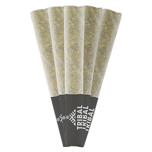 Tribal - Gran Turismo Pre-Roll