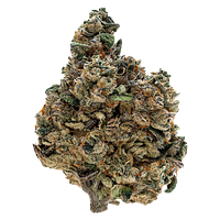 Tribal - Gran Turismo