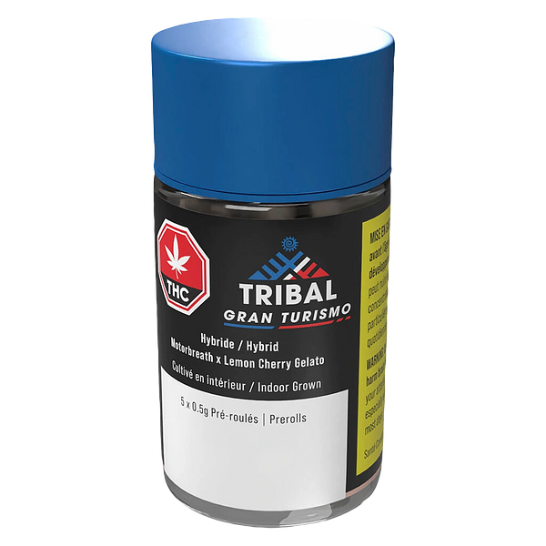 Tribal - Gran Turismo Pre-Roll